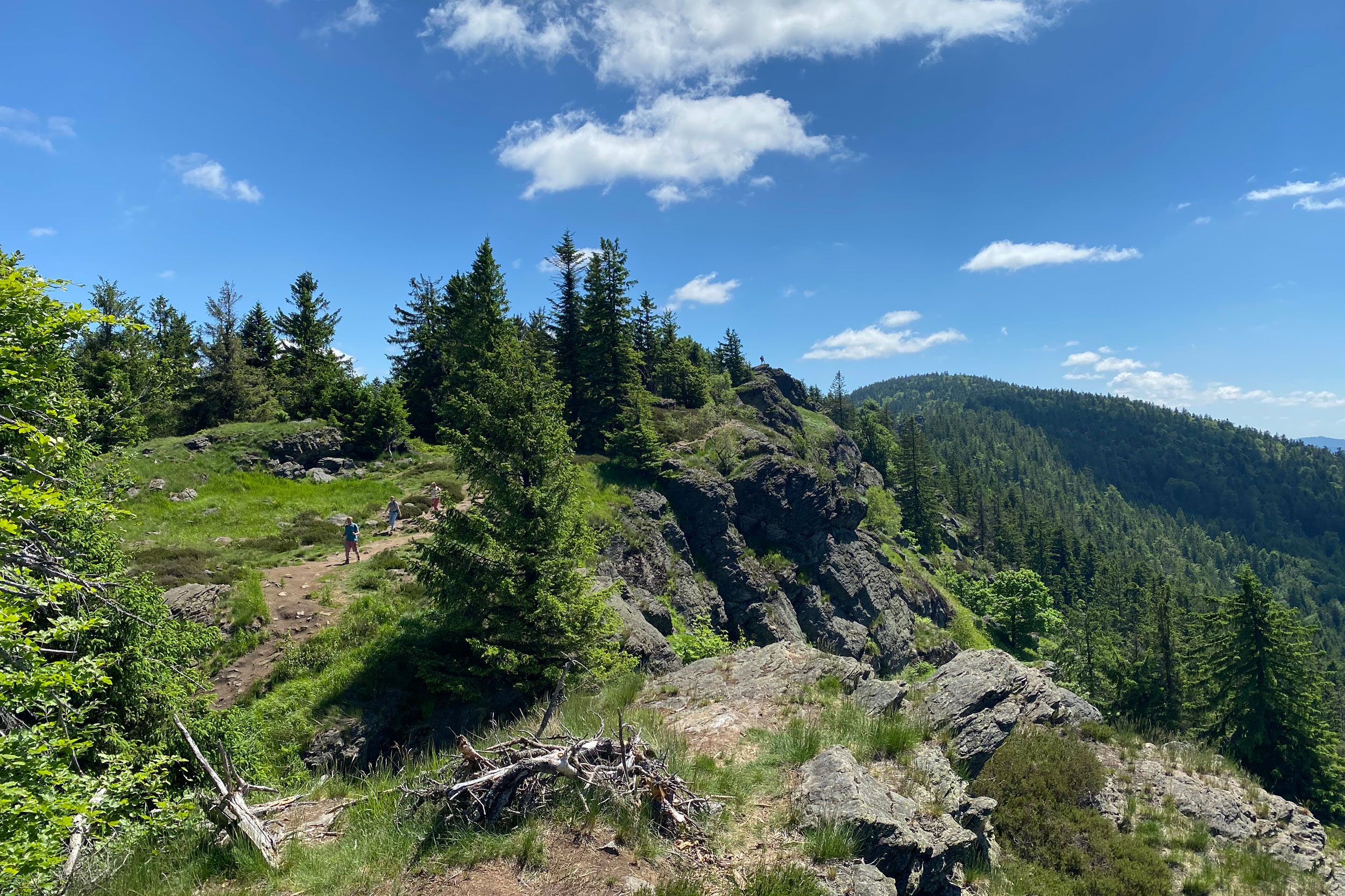 Panoramarundweg Arber Urlaub im Bayerischen Wald